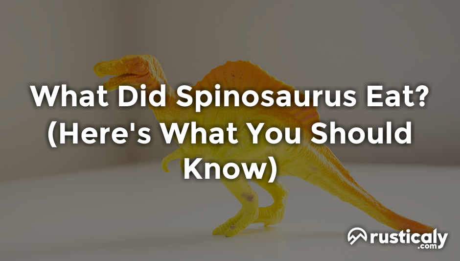 what did spinosaurus eat