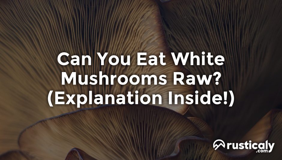 can you eat white mushrooms raw