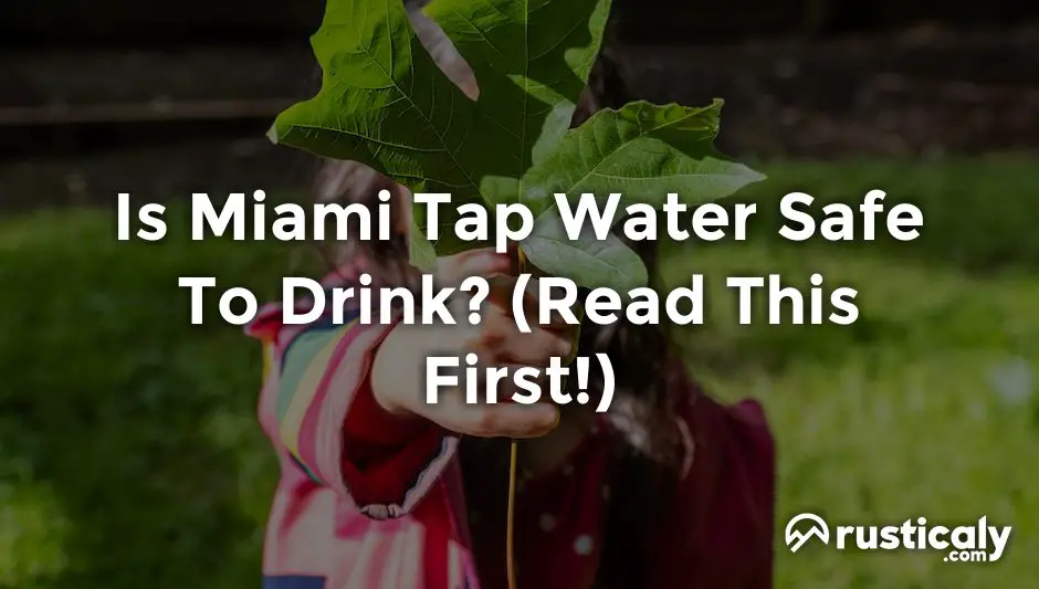 is miami tap water safe to drink