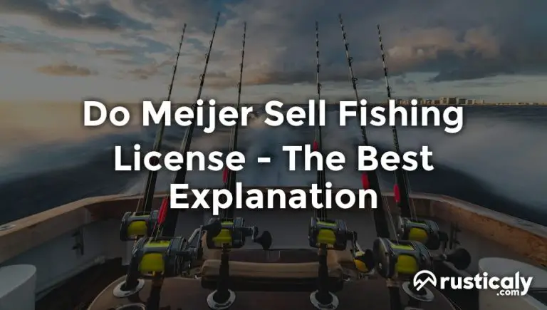 do meijer sell fishing license