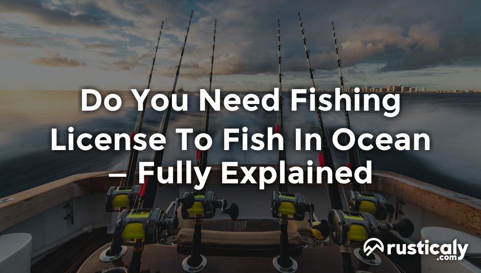 do you need fishing license to fish in ocean