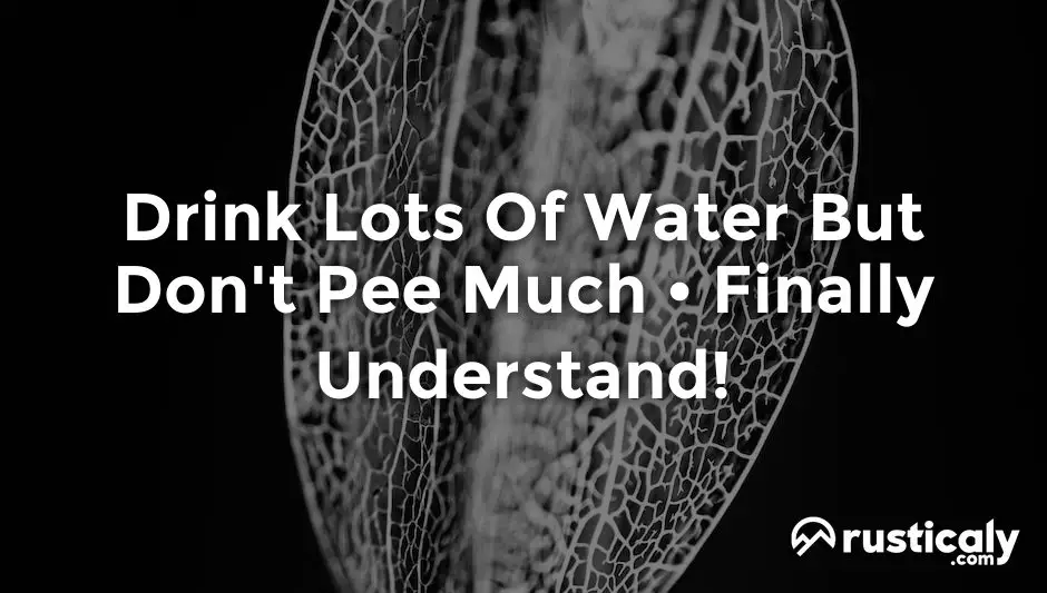drink lots of water but don't pee much