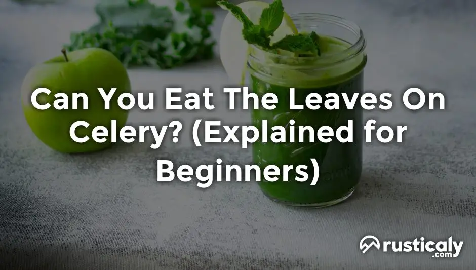 can you eat the leaves on celery