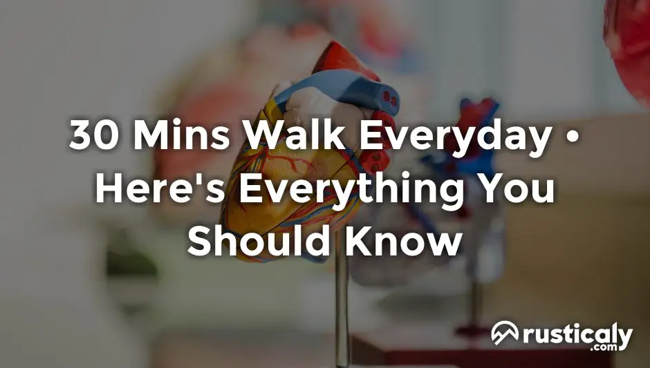 30 mins walk everyday