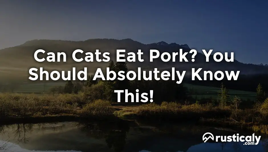 can cats eat pork