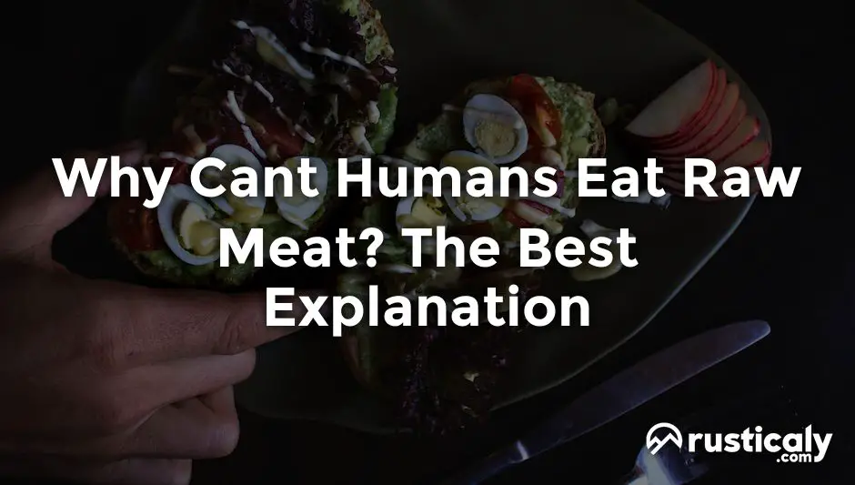 why cant humans eat raw meat