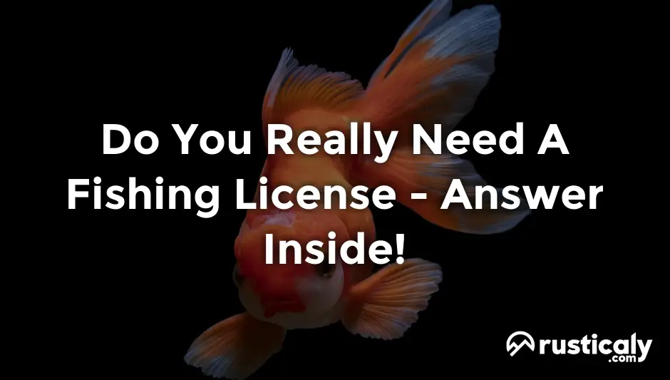 do you really need a fishing license