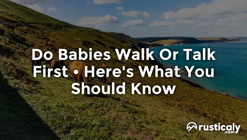 do babies walk or talk first
