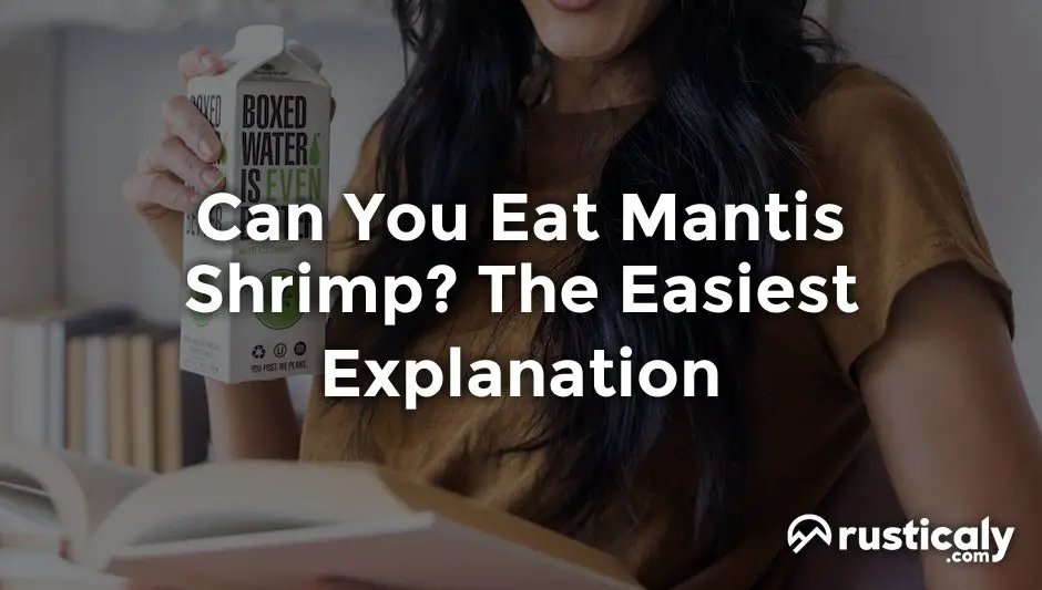 can you eat mantis shrimp