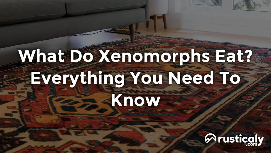 what do xenomorphs eat