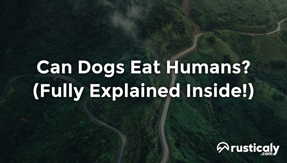 can dogs eat humans