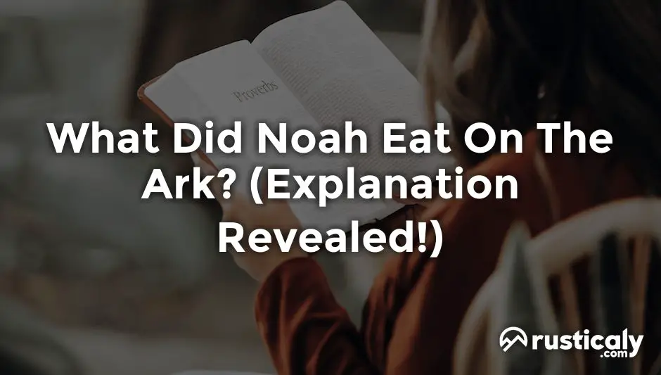 what did noah eat on the ark