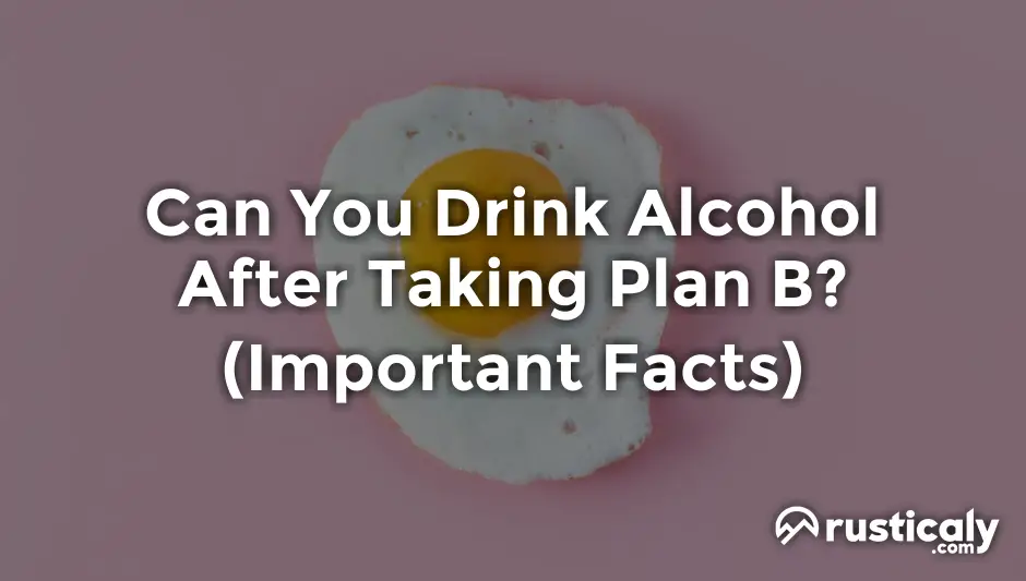 can you drink alcohol after taking plan b