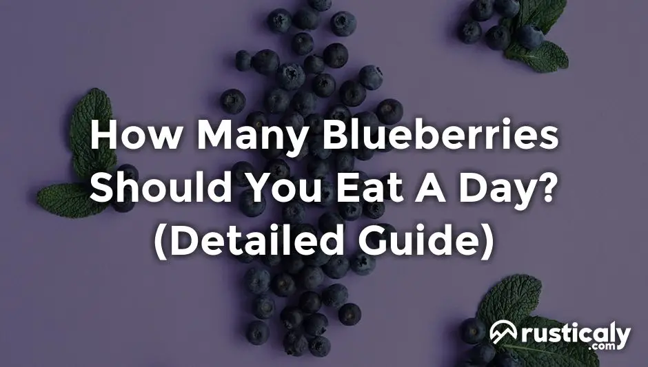 how many blueberries should you eat a day
