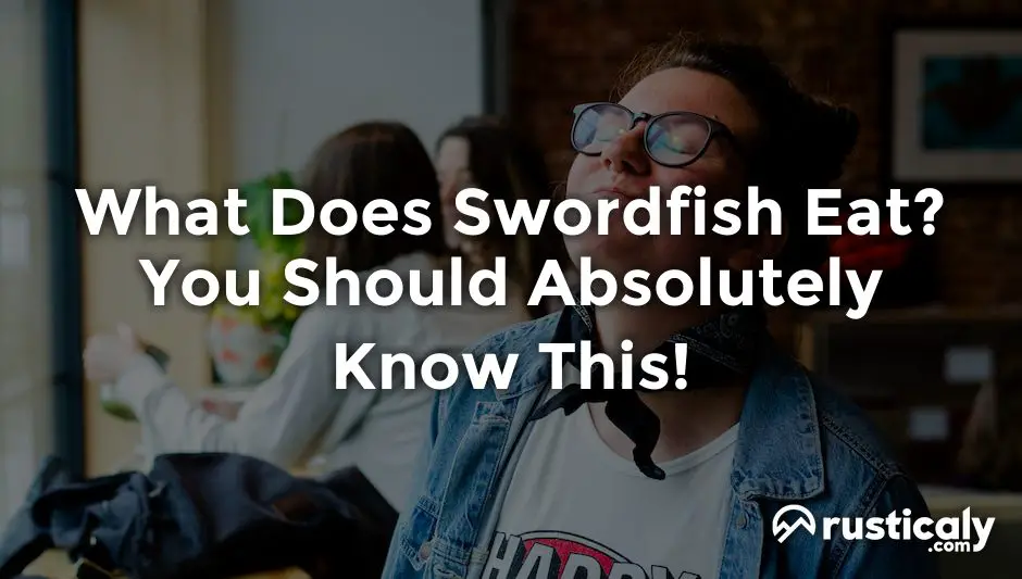 what does swordfish eat