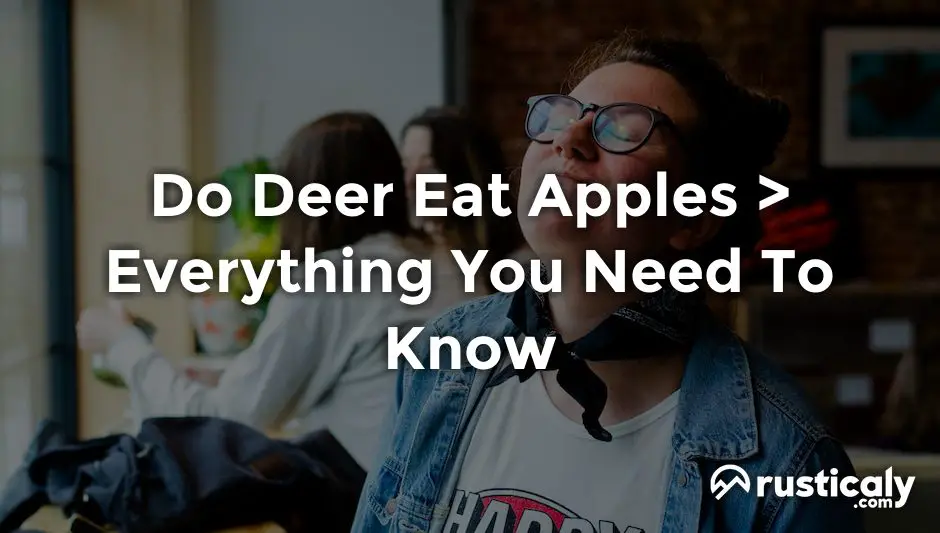 do deer eat apples