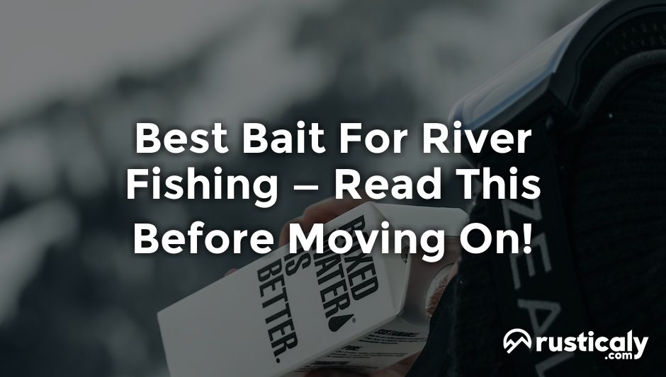 best bait for river fishing