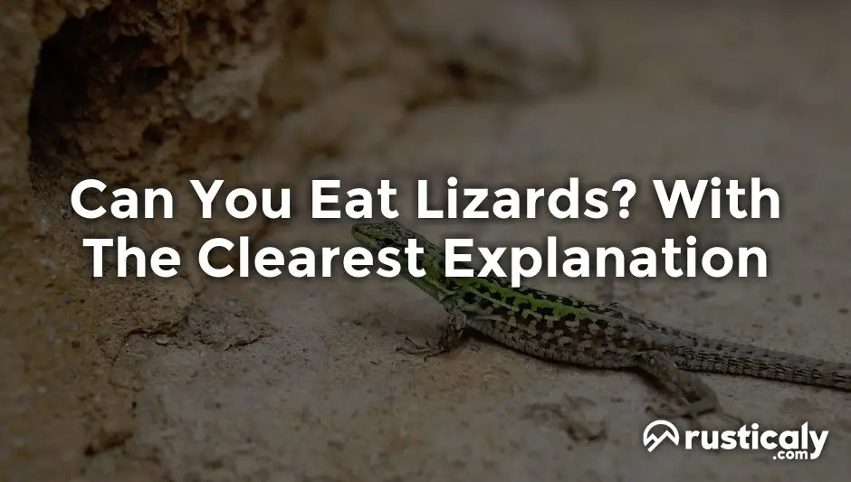 can you eat lizards