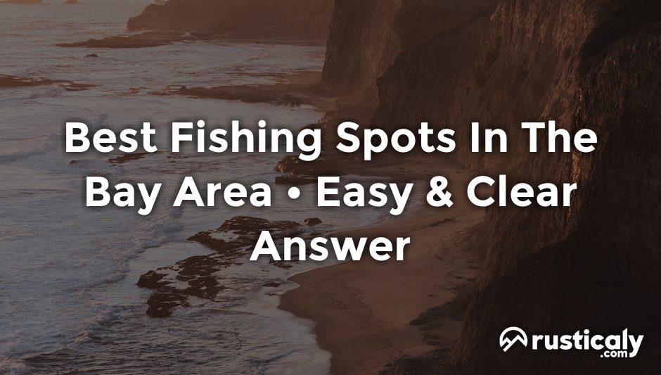 best fishing spots in the bay area