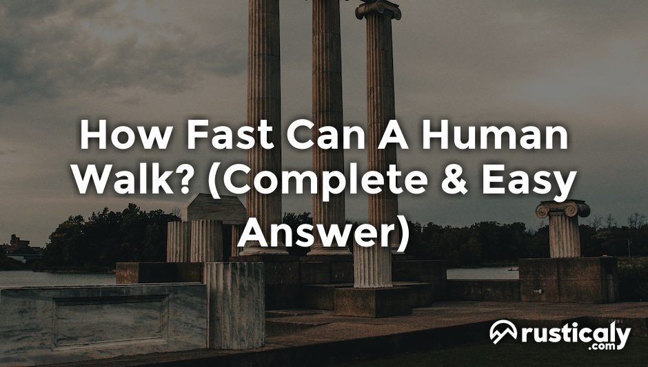 how fast can a human walk