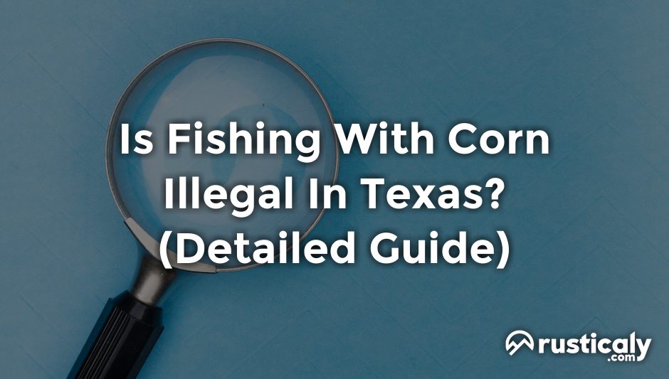 is fishing with corn illegal in texas