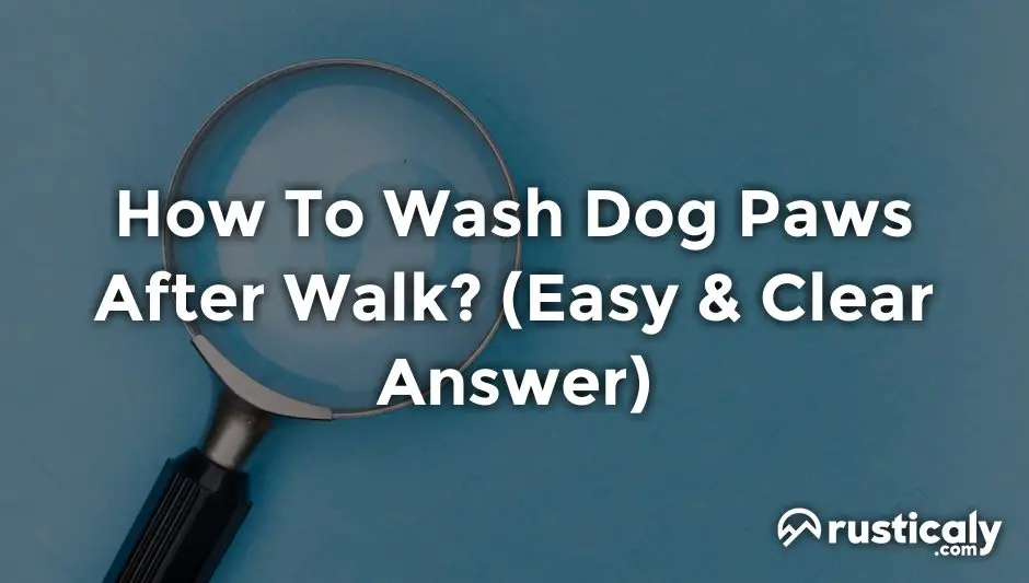 how to wash dog paws after walk