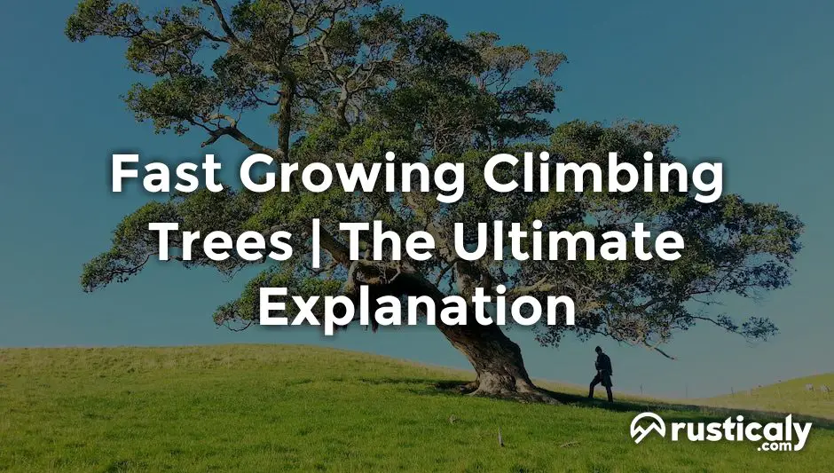 fast growing climbing trees