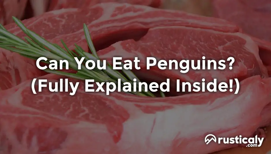 can you eat penguins