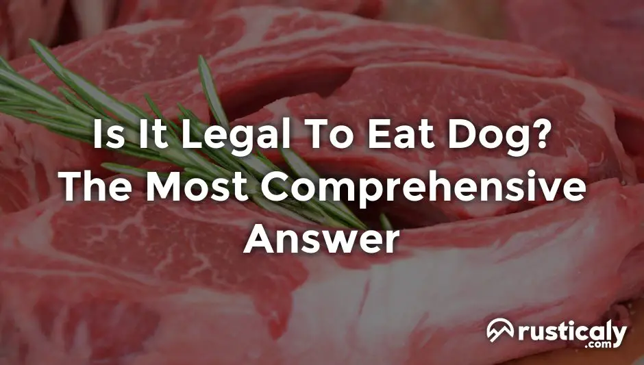 is it legal to eat dog