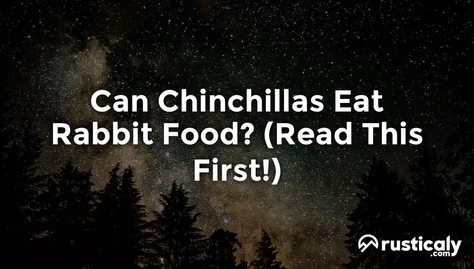 can chinchillas eat rabbit food