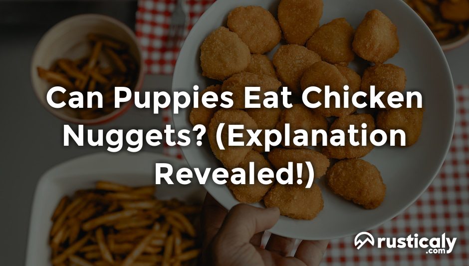 can puppies eat chicken nuggets