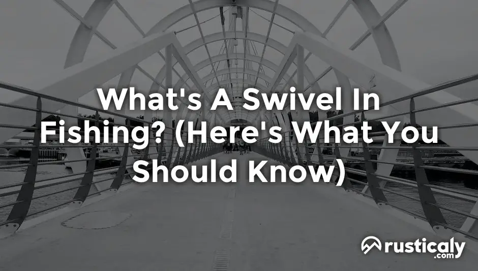 what's a swivel in fishing