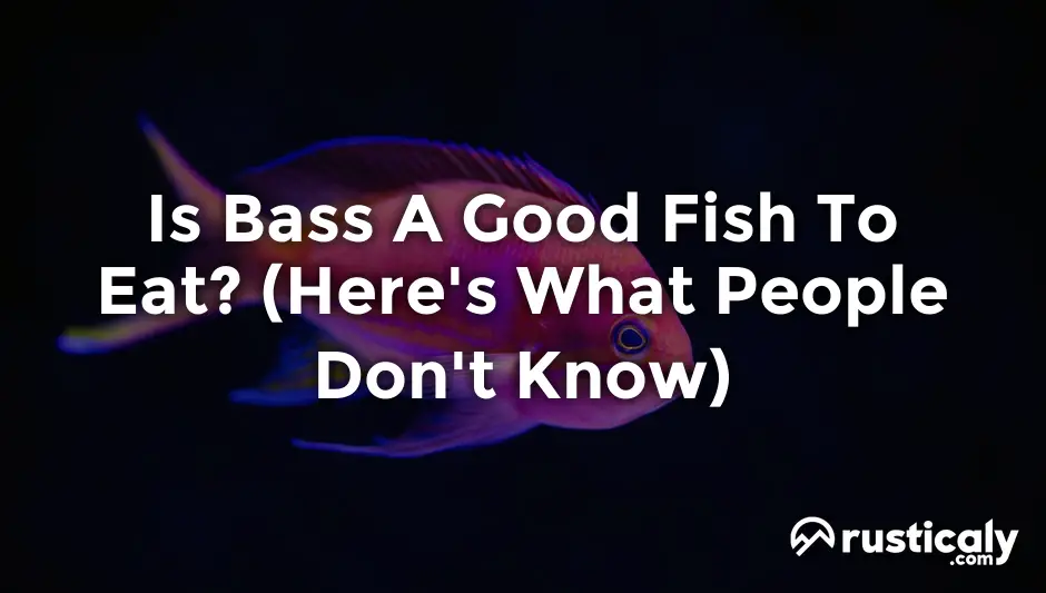 is bass a good fish to eat