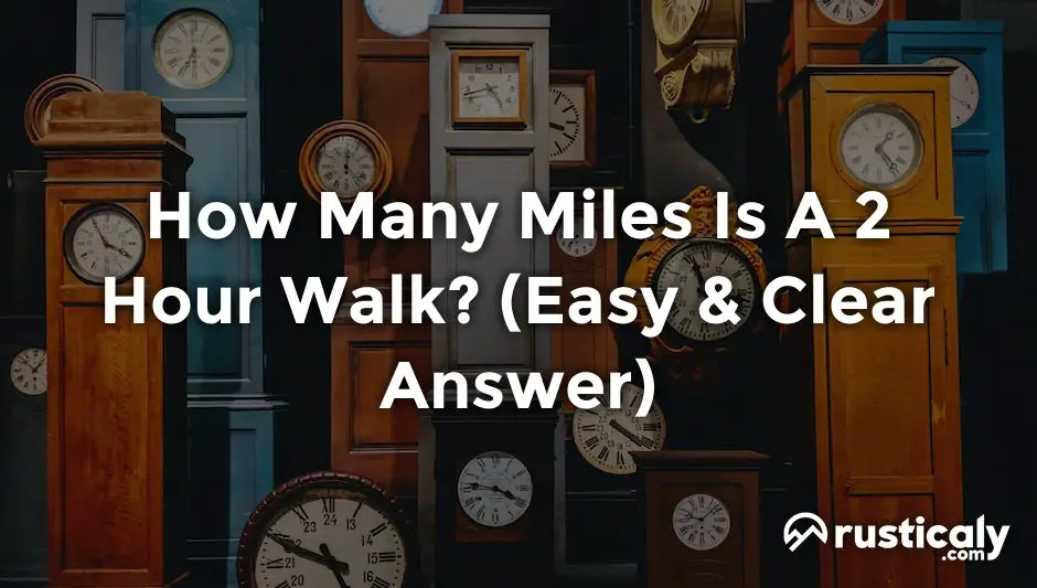how many miles is a 2 hour walk
