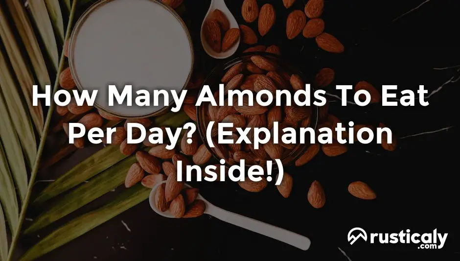 how many almonds to eat per day