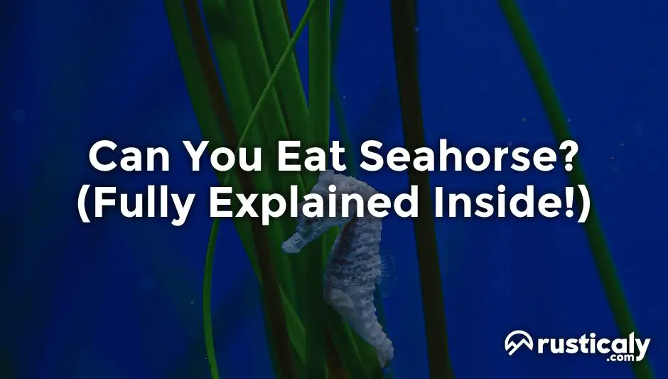 can you eat seahorse