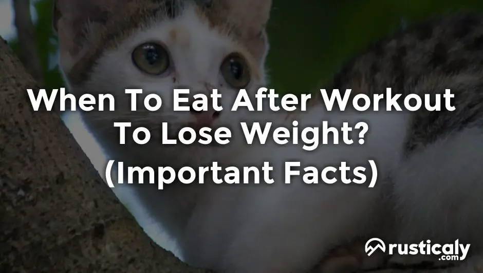 when to eat after workout to lose weight