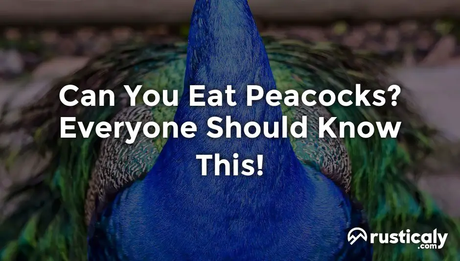 can you eat peacocks