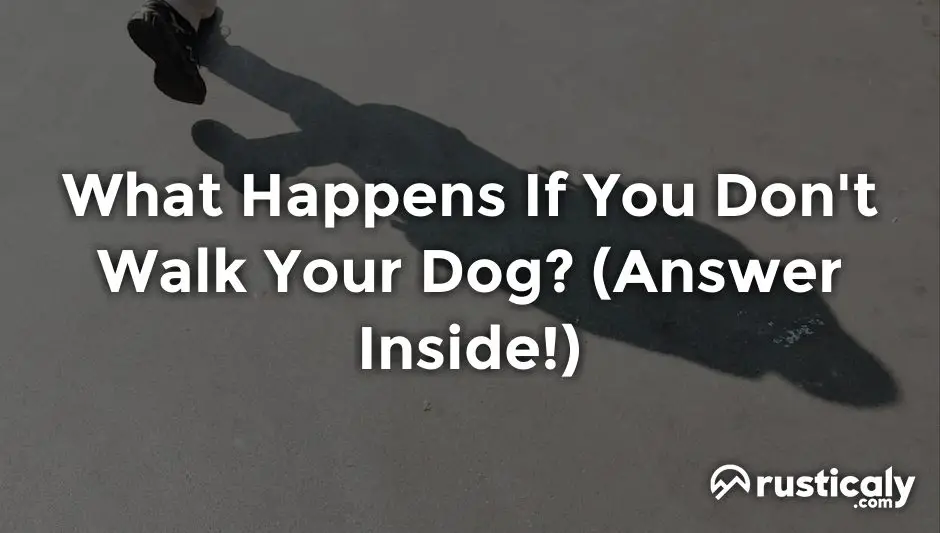 what happens if you don't walk your dog