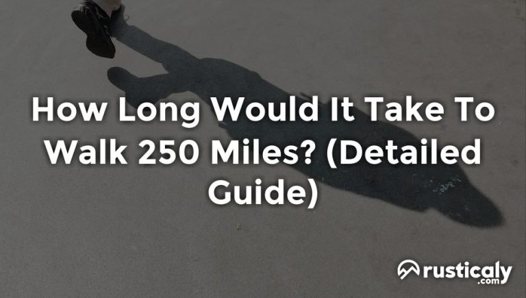 How Long Would It Take To Walk 250 Miles Complete Answer how-long-would-it-take-to-walk-250-miles-complete-answer