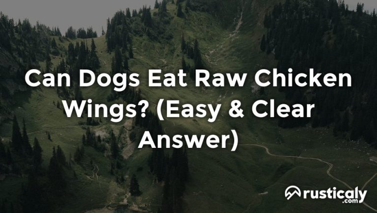 can dogs eat raw chicken wings