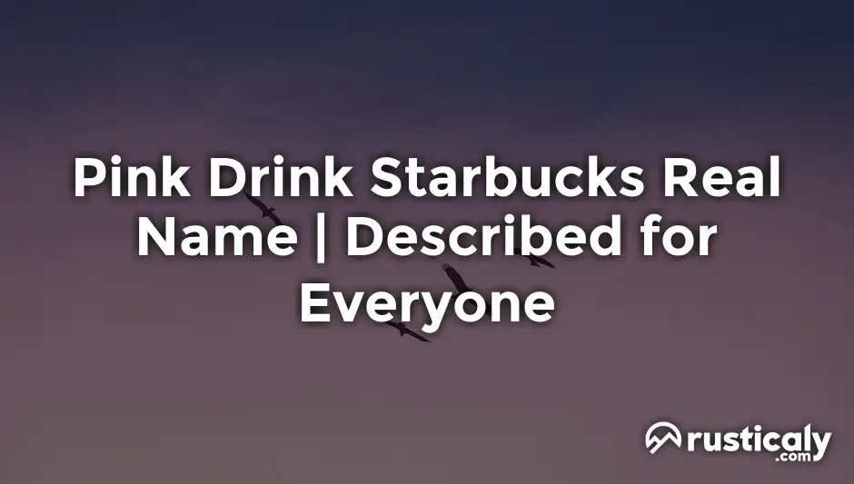 pink drink starbucks real name