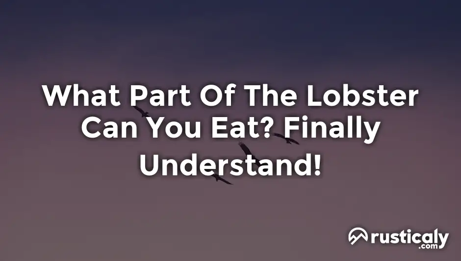 what part of the lobster can you eat