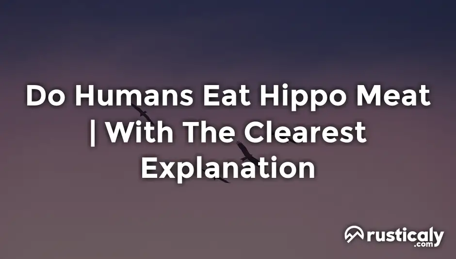 do humans eat hippo meat