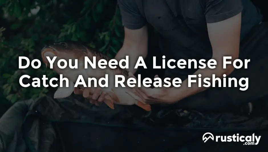 do you need a license for catch and release fishing