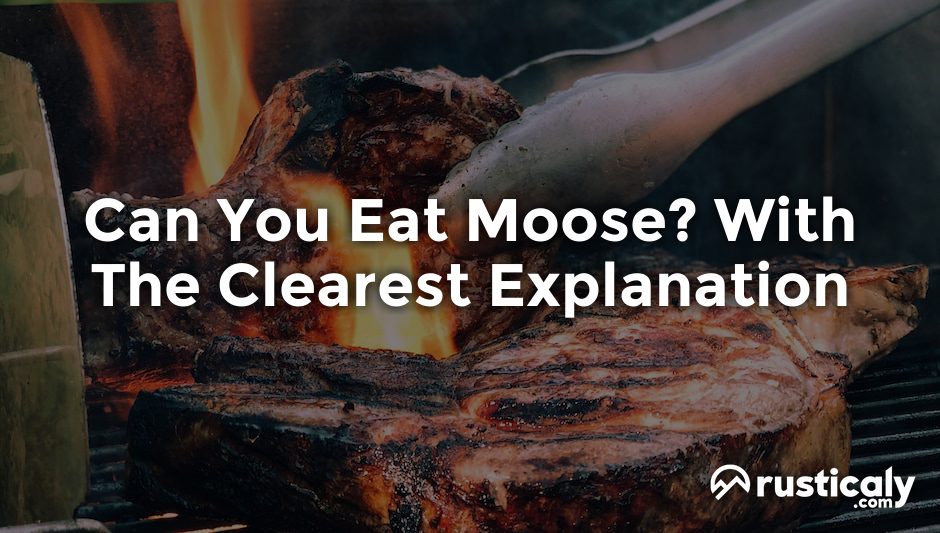 can you eat moose