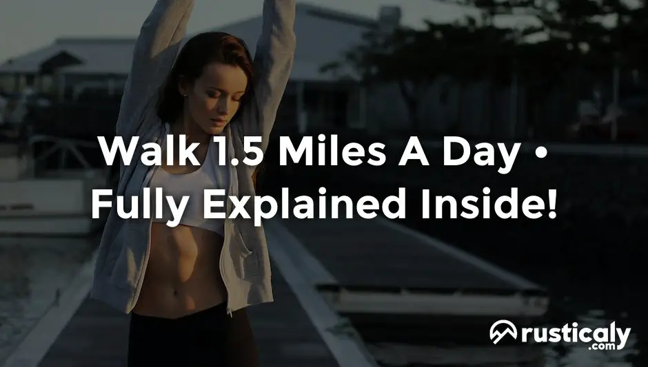 walk 1.5 miles a day