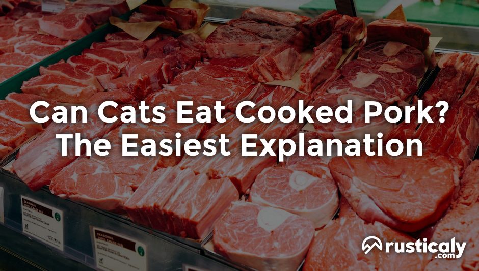 can cats eat cooked pork