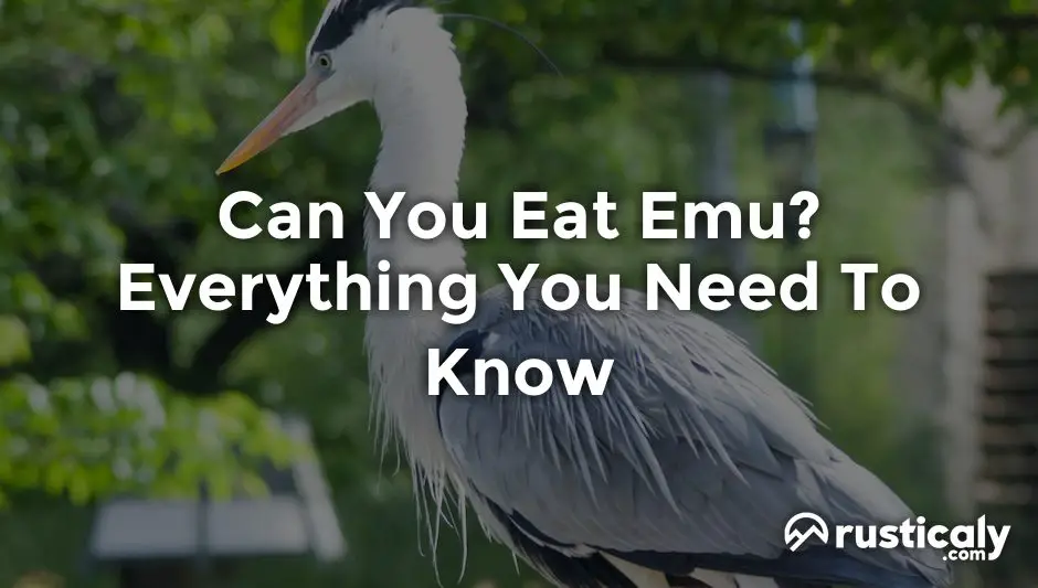 can you eat emu