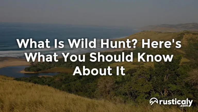 what is wild hunt